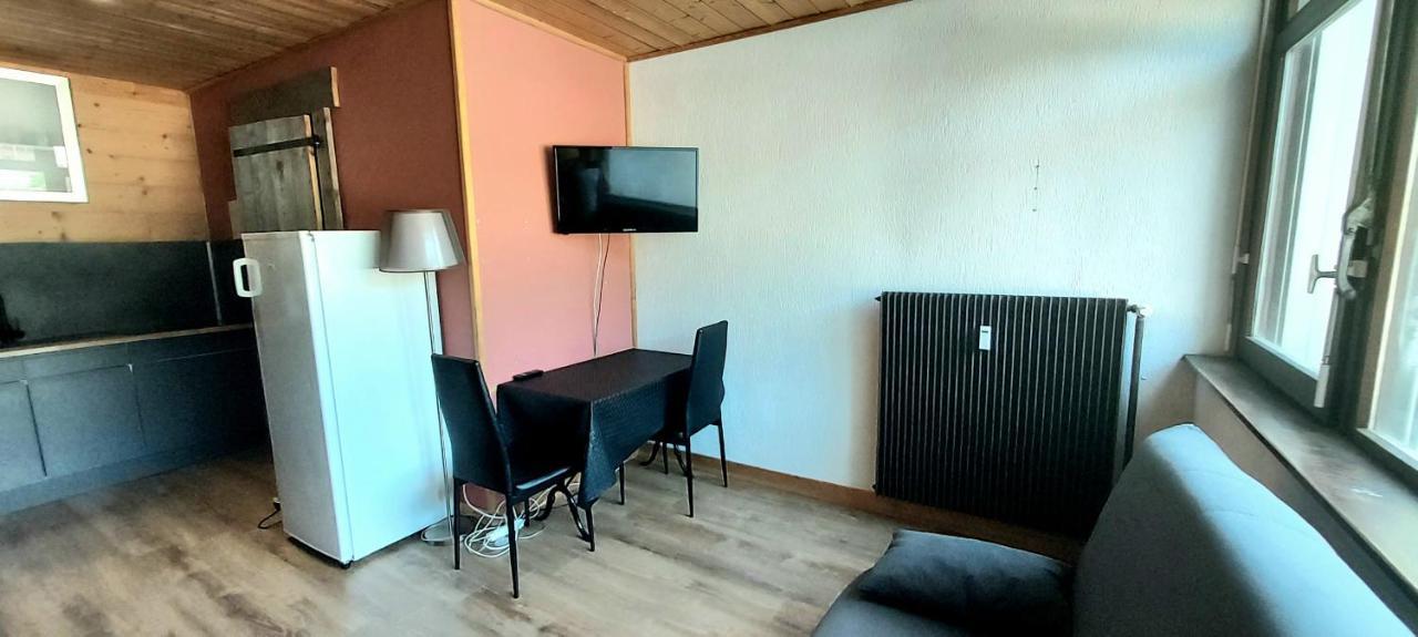Studio 8 Bis, Pied De Pistes La Bresse Hohneck Διαμέρισμα Εξωτερικό φωτογραφία